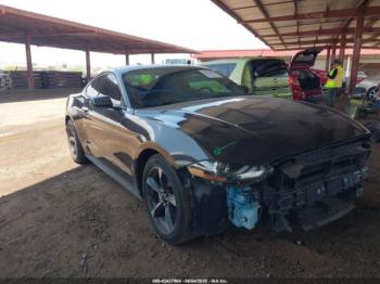  Salvage Ford Mustang