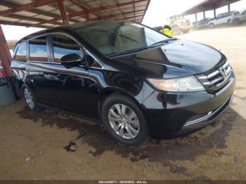  Salvage Honda Odyssey