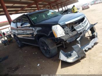  Salvage Cadillac Escalade