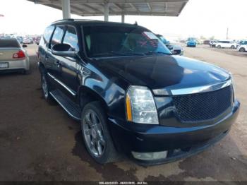  Salvage Cadillac Escalade