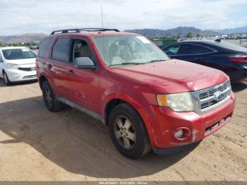  Salvage Ford Escape