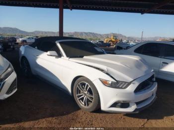  Salvage Ford Mustang