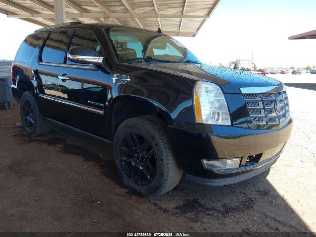  Salvage Cadillac Escalade