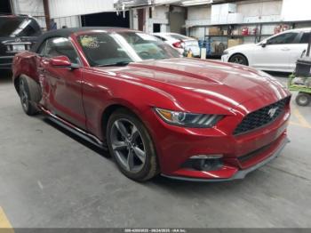  Salvage Ford Mustang