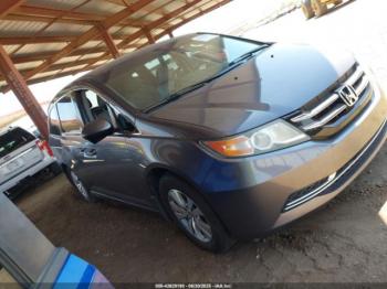  Salvage Honda Odyssey