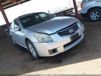 Salvage Nissan Maxima
