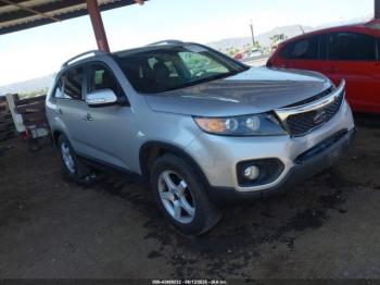  Salvage Kia Sorento