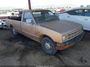  Salvage Isuzu Pup