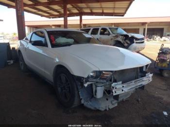  Salvage Ford Mustang