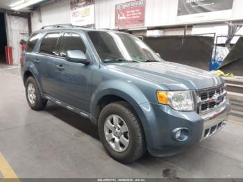  Salvage Ford Escape