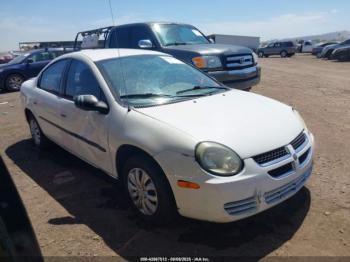  Salvage Dodge Neon