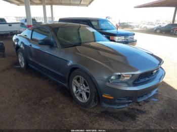  Salvage Ford Mustang
