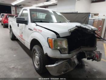  Salvage Ford F-150