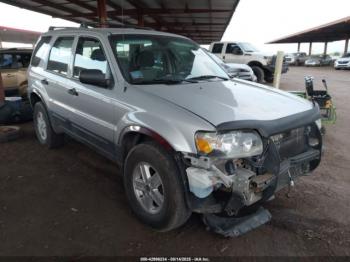  Salvage Ford Escape