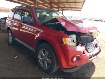  Salvage Ford Escape