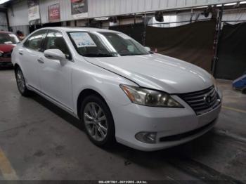  Salvage Lexus Es