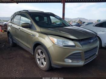  Salvage Ford Escape