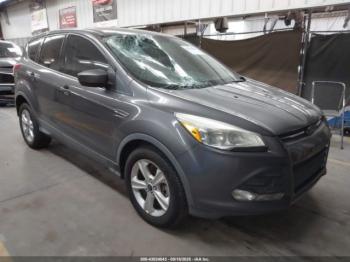 Salvage Ford Escape