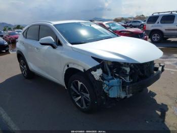  Salvage Lexus NX