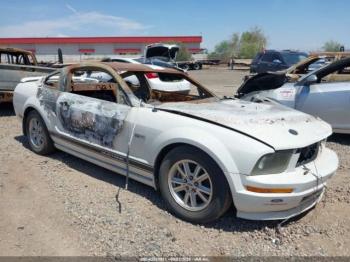  Salvage Ford Mustang