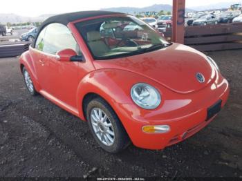  Salvage Volkswagen Beetle
