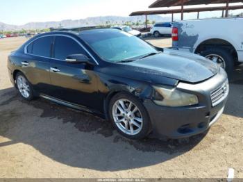  Salvage Nissan Maxima