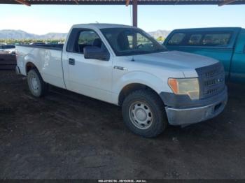  Salvage Ford F-150