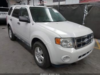  Salvage Ford Escape