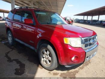  Salvage Ford Escape