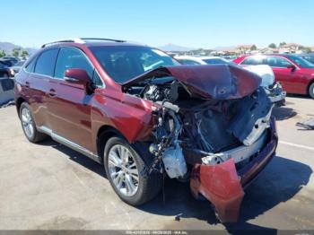  Salvage Lexus RX