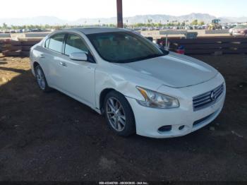  Salvage Nissan Maxima