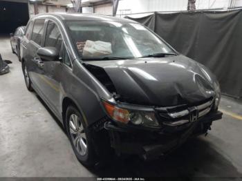  Salvage Honda Odyssey
