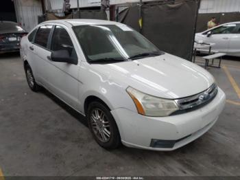  Salvage Ford Focus