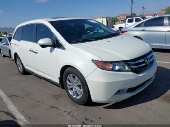  Salvage Honda Odyssey