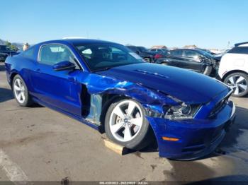  Salvage Ford Mustang