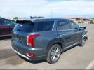 Hyundai PALISADE Sel Image 3