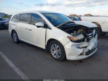  Salvage Honda Odyssey