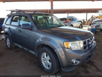  Salvage Ford Escape