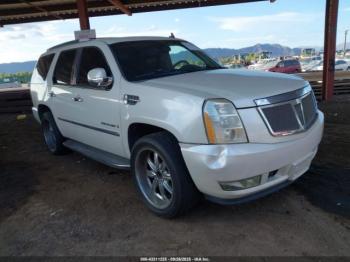  Salvage Cadillac Escalade