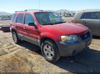  Salvage Ford Escape