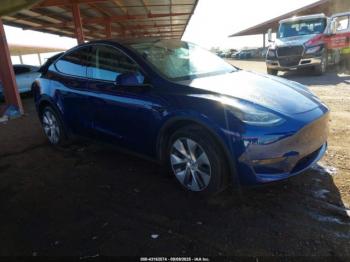  Salvage Tesla Model Y
