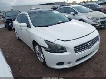  Salvage Nissan Maxima