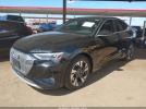 Audi e-tron Premium S Line Quattro Image 17