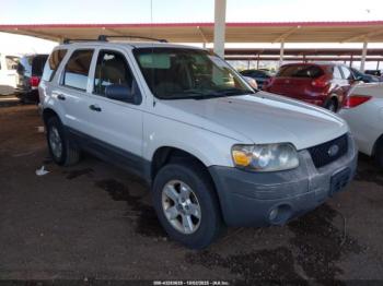  Salvage Ford Escape