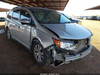  Salvage Honda Odyssey