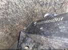 Kawasaki Krt1000 Image 11