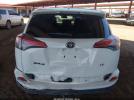 Toyota RAV4 Le Image 16