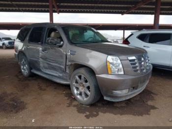  Salvage Cadillac Escalade