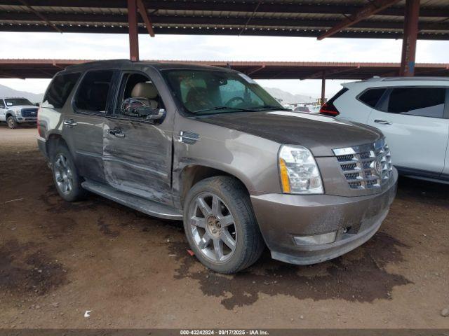  Salvage Cadillac Escalade