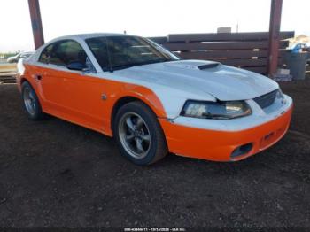  Salvage Ford Mustang